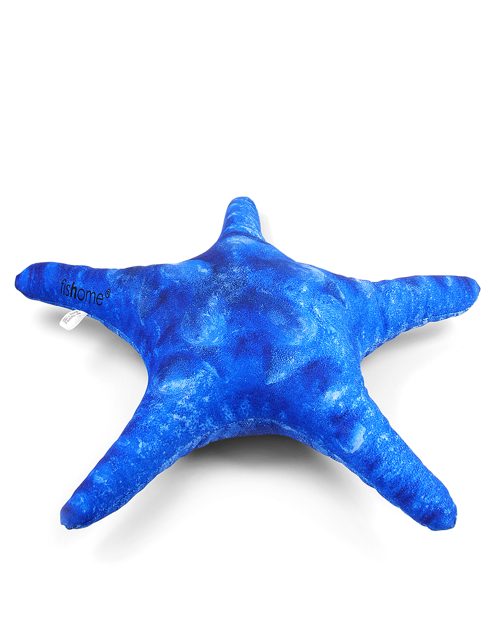 starfish 6